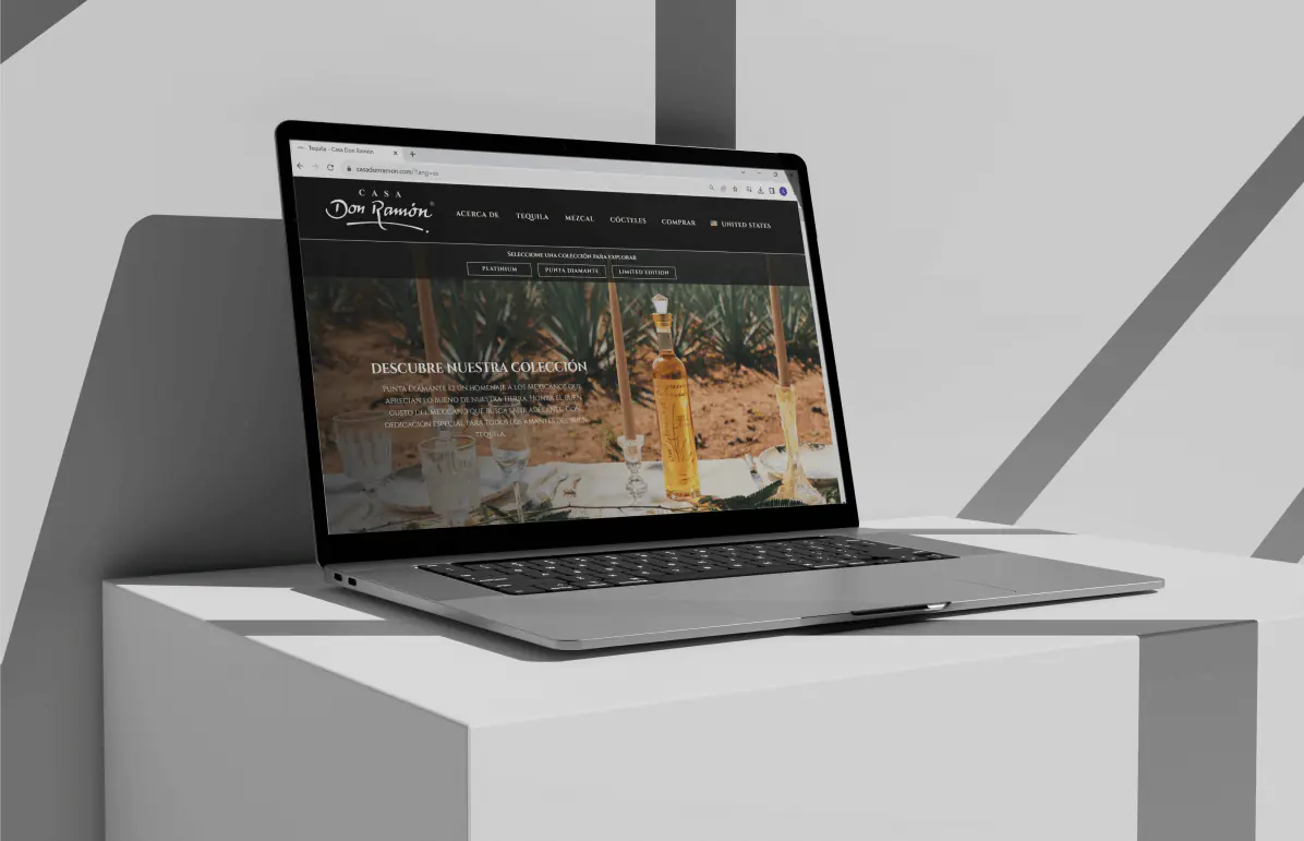 Website 2020